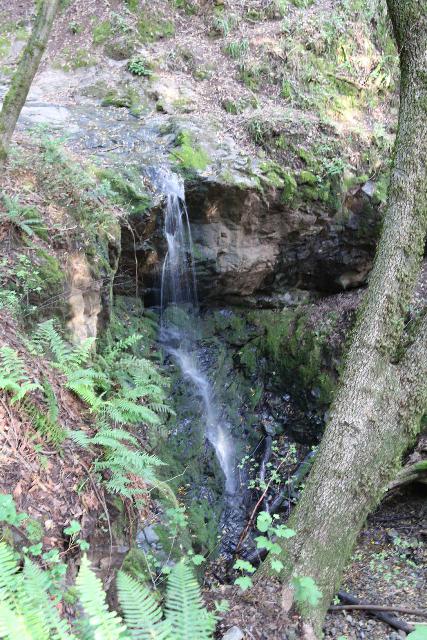 Dawn_Falls_072_04192019 - Dawn Falls
