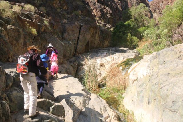 Death_Valley_17_069_04082017 - The family negotiating some of the trickier parts on the way to Darwin Falls