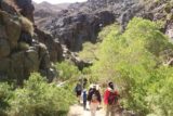 Death_Valley_17_164_04082017 - We spotted many people going up to Darwin Falls while we were making our way back to the trailhead in April 2017. This underscored just how popular this place had become over the years