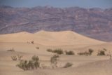 Death_Valley_17_456_04092017 - Looking in the distance towards some of the taller dunes at the Mesquite Dunes