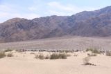 Death_Valley_17_465_04092017 - Looking back towards the parking lot for the Mesquite Sand Dunes