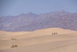 Death_Valley_17_470_04092017 - The classic Sahara shot though these dunes were in Death Valley National Park