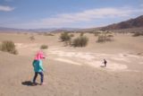 Death_Valley_17_471_04092017 - Tahia chasing Joshua across the sand dunes and back to our parked car