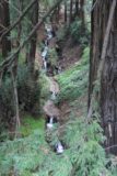Deetjens_003_03192010 - Lower Castro Canyon Waterfall