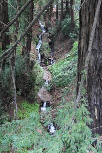 Deetjens_003_03192010 - The Castro Canyon Waterfall as seen from Hwy 1 by the Deetjen's Big Sur Inn Property