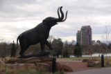 Denver_001_03242017 - A woolly mammoth statue near the entrance of the Denver Museum of Nature and Science