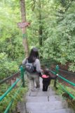 Devils_Bridge_009_09032014