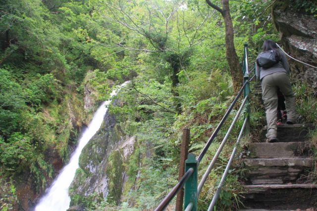 Devils_Bridge_081_09032014 - Context of the ascending Waterfalls Nature Walk and part of the Mynach Falls or Devil's Bridge Falls