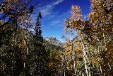 Devils_Punch_Bowl_Crystal_Mill_314_10172020 - Looking in the distance towards some mountain while framed by trees still with colorful aspen leaves on them