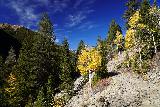 Devils_Punch_Bowl_Crystal_Mill_321_10172020 - The Schofield Pass Road going by some vibrant aspen trees with golden leaves on them