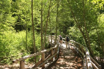 Diamond_Creek_Falls_008_07142016