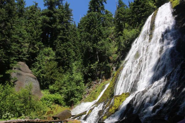 Diamond Creek Falls - A 2 Waterfall Loop by Salt Creek Falls