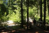 Diamond_Creek_Falls_151_07142016 - Finally back at the bridge over Salt Creek to conclude the Diamond Creek Falls hike