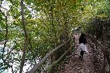 Diborrato_127_11192023 - Following Tahia along the trail ascending back up to the Ponte di San Marziale