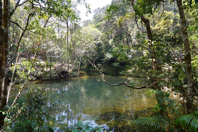 Do_Quyen_067_04222025 - Looking across a small lake or pond that was a feeding basin or source of the Rhododendron Falls, which seemed to typify the pristine Nature deep in the Bach Ma National Park