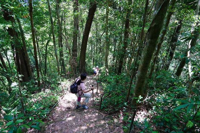 Do_Quyen_137_04222025 - Slowly going down the steep 689 steps to get down to the bottom of the main drop of the Do Quyen Waterfall
