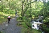 Dolgoch_Falls_043_09022014