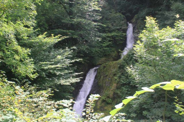 Dolgoch_Falls_097_09022014 - Dolgoch Falls