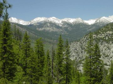 This itinerary of Kings Canyon National Park, Sequoia National Park, and Sequoia National Forest took place over a Memorial Day Weekend. I was accompanied by my Mom and Dad while Julie stayed at home to see friends...