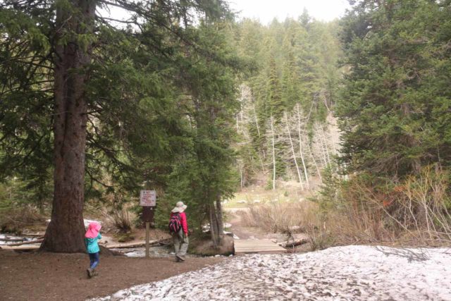 Donut_Falls_043_05262017 - Julie and Tahia approaching a footbridge over the Mill D South Fork Creek en route to Donut Falls