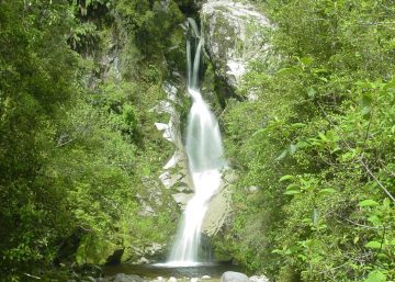 Dorothy Falls was sort of an obscure waterfall that Julie and I made a short detour to see while we were spending the better part of a late afternoon around the town of Hokitika.  According to the...