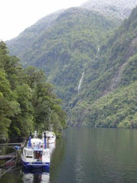 Doubtful_Sound_002_11252004