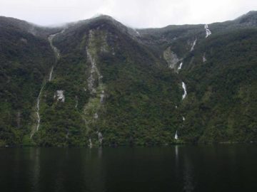 Browne Falls could very well be the tallest waterfall known in New Zealand so far as it was said to be 619m or 838m (depending on who you talk to and what the height criteria was based on). However...