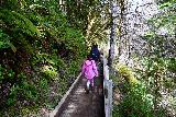Drift_Creek_Falls_030_04082021 - Julie and Tahia passing over a bridge along the Drift Creek Falls Trail