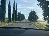 Drive_to_Diborrato_007_iPhone_11192023 - Taking a detour along some cypress trees since the direct route to San Quirico d'Orcia along SS2 was closed