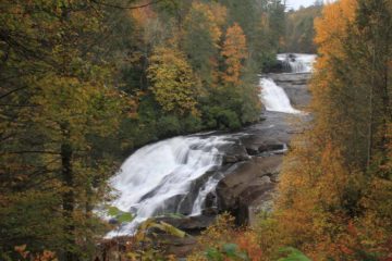 Triple Falls was the second of three waterfalls on the Little River we visited while touring DuPont State Forest. Like its name says, it consists of three distinct tiers all cascading at different...