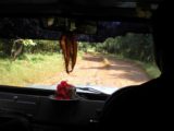 Dudhsagar_Falls_004_jx_11122009 - Riding on the bumpy jeep road towards Dudhsagar Falls
