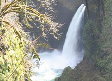 Metlako Falls is the first main waterfall on Eagle Creek.  Due to the steepness of the gorge, your view of the falls is rather distant from a lookout that hugs the nearly...