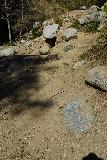 Eaton_Canyon_Falls_109_02202022 - Unfortunately, graffiti on rocks could still be seen along the Eaton Canyon Trail