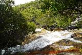 Emerald_Creek_Falls_064_06262022 - Looking across Emerald Creek on our way towards the base of the Emerald Creek Falls