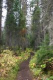 Emerald_Lake_030_09172010
