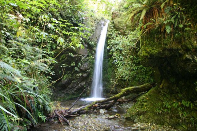 Emily_Falls_014_12212009 - Emily Falls