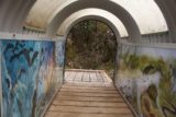 Enchanted_Walk_026_11302017 - This was one of the tunnels that was along the Enchanted Walk in late November 2017, which I'm sure the kids could enjoy