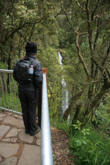 Erskine_Falls_004_11162006 - Julie checking out Erskine Falls from the Upper Viewing Area