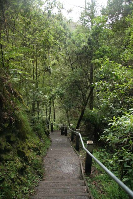 Erskine_Falls_012_11162006 - The track descending towards the bottom of Erskine Falls
