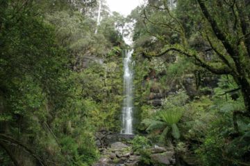 To Julie and I, Erskine Falls was probably the most impressive waterfall amongst the cluster of waterfalls around the town of Lorne in the Angahook-Lorne State Park (part of the larger Great Otway...