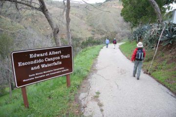 Escondido_Falls_013_02082009