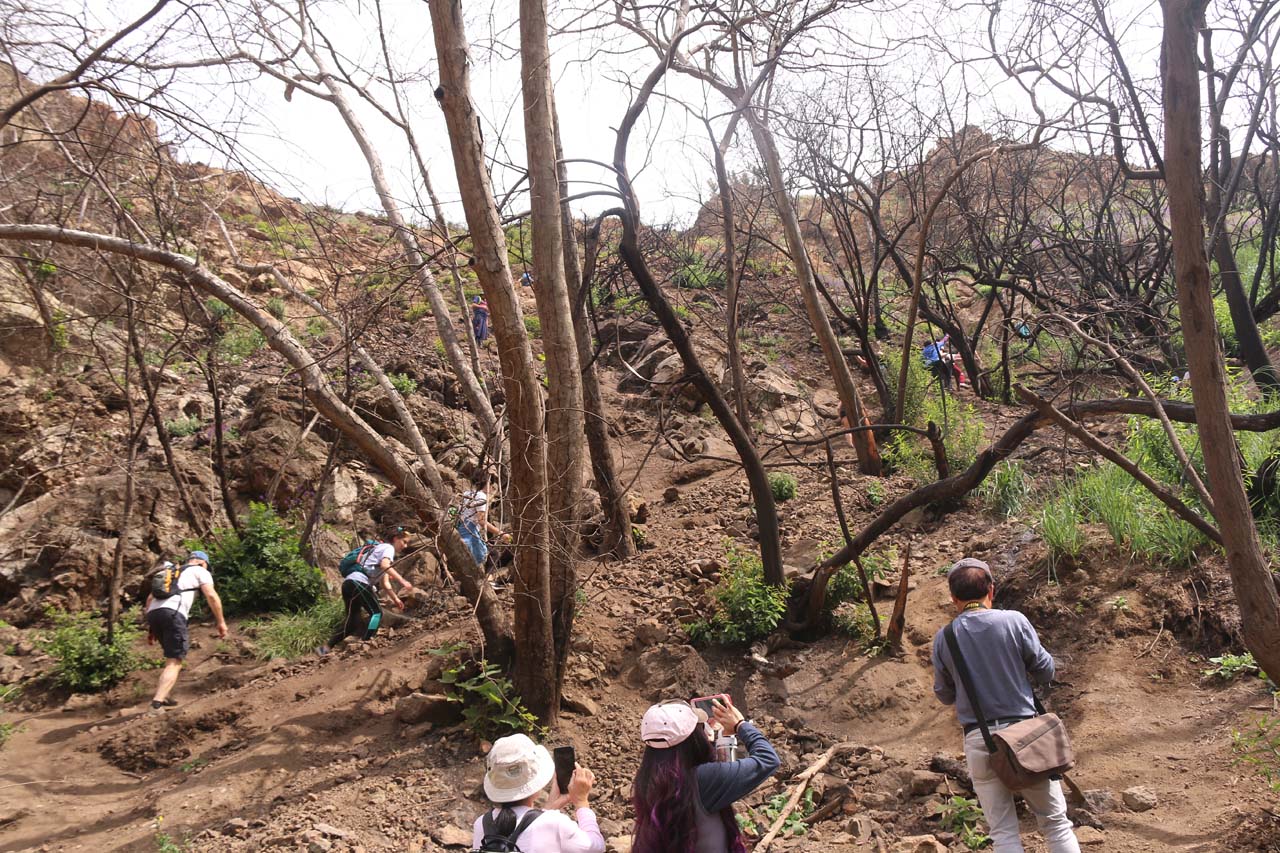 Lots of people scrambling up this eroded hillside to the Upper Escondido Falls unaware that the soil had been destabilized from the lack of vegetation caused by the Woolsey Fire