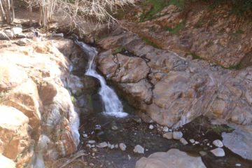 Etiwanda Falls was one of those waterfalls that Julie and I had previously overlooked over the years even though it wasn't far from places like Bonita Falls and San Antonio Falls.  But as we were...