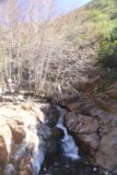 Etiwanda_Falls_149_02012015 - Contestuale vista della discesa superiore di Etiwanda Cade con alcuni alberi spogli, in piedi sopra di esso