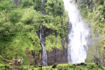 Vaimahutu Falls is one of three Faarumai Waterfalls in the northeast part of Tahiti Nui. There are many ways to visit this waterfall and it's a trade-off between...