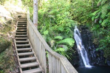 Fairy Falls was a waterfall in the Waitakere Ranges that I deferred from our November-December 2004 trip to New Zealand as we had run out of time.  So when we came back to New Zealand in...