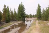 Fairy_Falls_Yellowstone_082_08112017 - During my August 2017 hike to Fairy Falls, I still had to go around large puddles like this one which kind of suggested to me that this area still saw quite a bit of rain throughout the Summer
