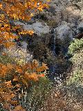 Fall_Creek_Falls_004_mom_01082022 - Mom took this well-composed shot of Fall Creek Falls fronted by colorful leaves