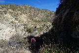 Fall_Creek_Falls_168_01082022 - Following Jay down towards the bottom of Big Tujunga Canyon