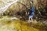 Fall_Creek_Falls_316_01082022 - The guy with the Poco Plus carrier hiking across the Big Tujunga Canyon Creek